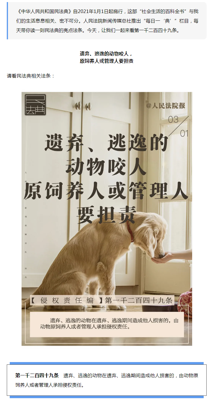 每日一“典”丨遺棄、逃逸的動(dòng)物咬人，責(zé)任誰(shuí)承擔(dān)？.png