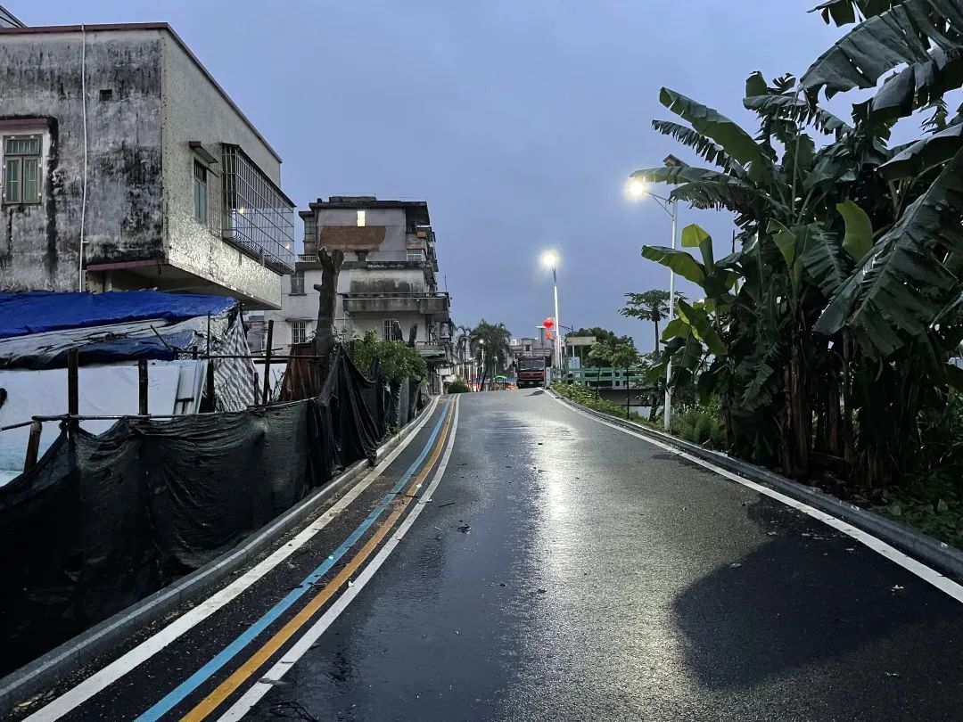 8修剪后，道路變得亮堂，附近村民的安全隱患也得到了解決.jpg