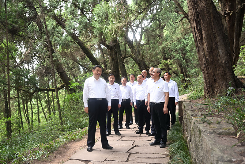 7月25日至27日，中共中央總書記、國家主席、中央軍委主席習近平在四川考察。這是25日下午，習近平在廣元市劍閣縣翠云廊考察。