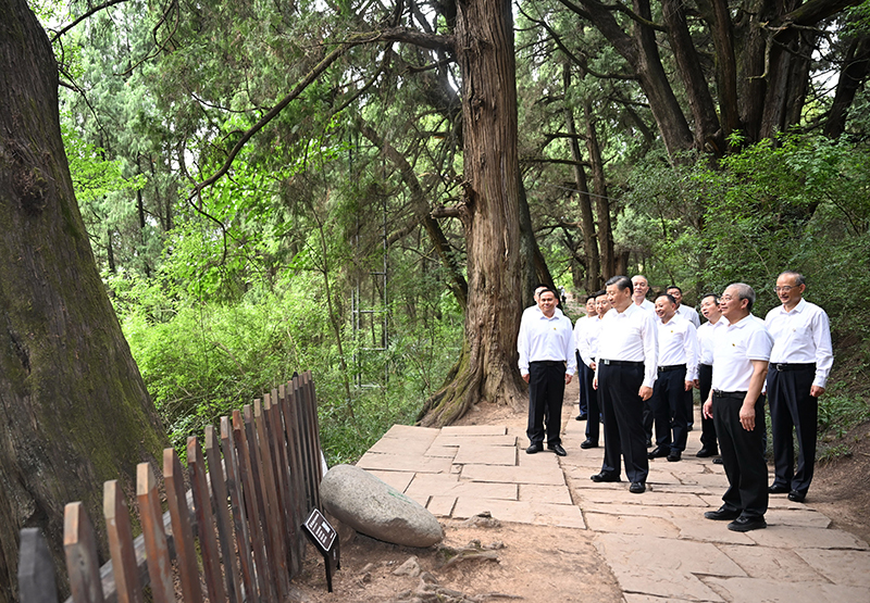 7月25日至27日，中共中央總書記、國家主席、中央軍委主席習近平在四川考察。這是25日下午，習近平在廣元市劍閣縣翠云廊考察。