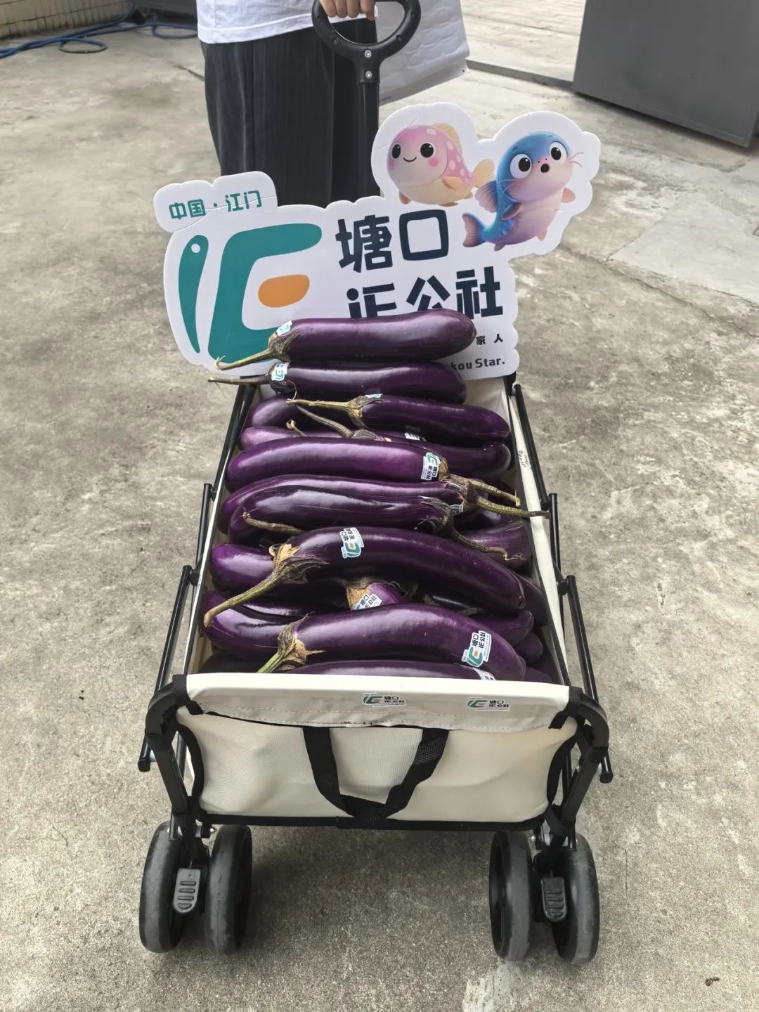 圖片